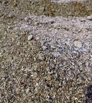 Srot de floarea soarelui proteina 35,7%