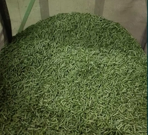 Peleti granule din lucerna 