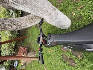 Kxd 125 pro germany - imagine 2 Kxd 125 pro germany - imagine 2