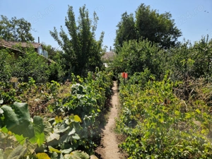 Casa + curte 900m2, comuna Daneti, jud Dolj - imagine 3 Casa + curte 900m2, comuna Daneti, jud Dolj - imagine 3