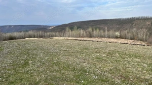 Teren zona pitorească munții Codru Moma - imagine 2