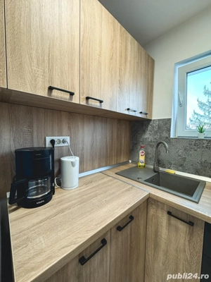 Ofer spre inchiriere STUDIO Modern si Primitor - imagine 6