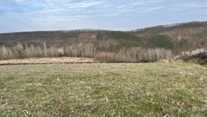 Teren zona pitorească munții Codru Moma - imagine 5