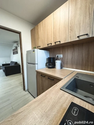 Ofer spre inchiriere STUDIO Modern si Primitor - imagine 7