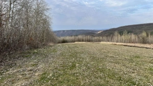 Teren zona pitorească munții Codru Moma - imagine 9