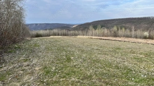 Teren zona pitorească munții Codru Moma - imagine 4