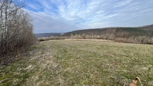 Teren zona pitorească munții Codru Moma - imagine 3