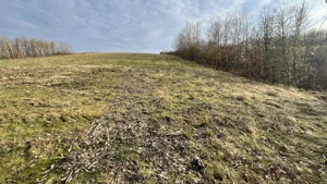 Teren zona pitorească munții Codru Moma - imagine 11