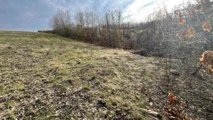 Teren zona pitorească munții Codru Moma - imagine 10