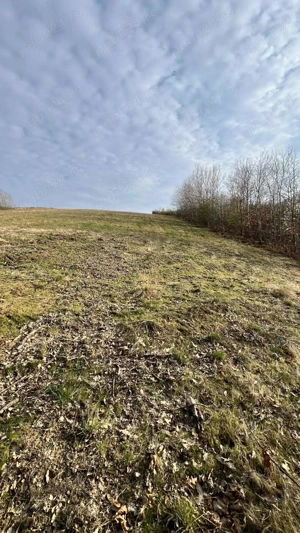 Teren zona pitorească munții Codru Moma - imagine 7