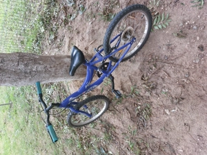 Bicicleta copii 5 - 8 ani - imagine 2