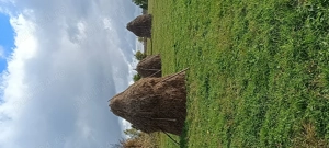 Căpițe de Fân de vânzare 