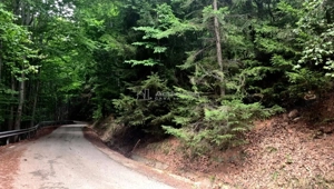 Teren 7 ha, Lac Vidraru, Podis Molivis - imagine 3