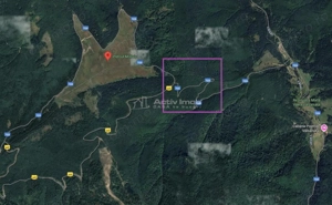 Teren 7 ha, Lac Vidraru, Podis Molivis - imagine 6