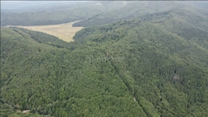 Teren 7 ha, Lac Vidraru, Podis Molivis