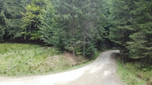 Teren 7 ha, Lac Vidraru, Podis Molivis - imagine 2