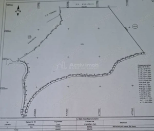 Teren 7 ha, Lac Vidraru, Podis Molivis - imagine 8