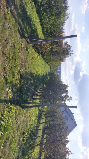 Vand livada meri, sistem intensiv, teren intravilan, Bosanci, Suceava - imagine 5