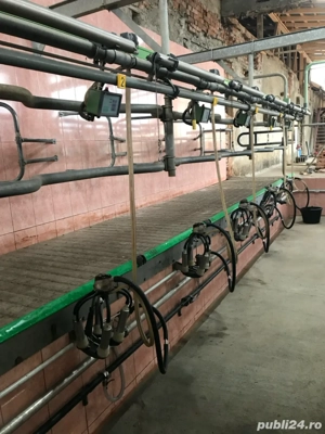 vand sala de muls 2x6 Westphalia - imagine 2