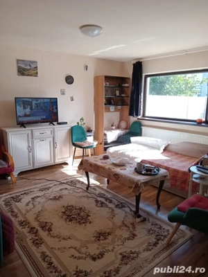 Vila P+1 in Valu lui Traian  - imagine 2