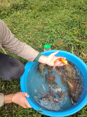 vand peste - imagine 4 vand peste - imagine 4