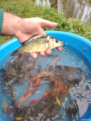 vand peste - imagine 2 vand peste - imagine 2