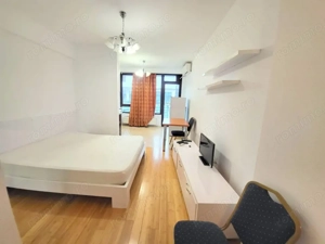 Exclusive Residence Copou Apartament Liber  - imagine 3