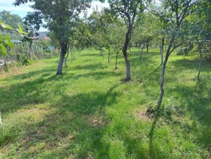 Vând casă în Petrești Alba - imagine 5