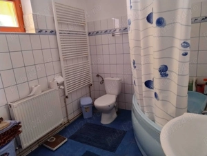 Vând casă în Petrești Alba - imagine 6