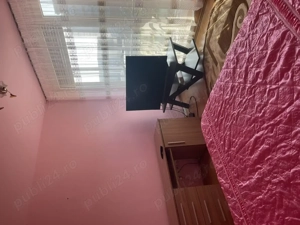 Chirie Aradului  - imagine 5