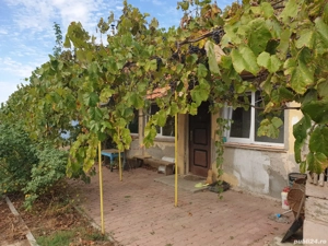 Proprietar vand casa in Herneacova - imagine 6