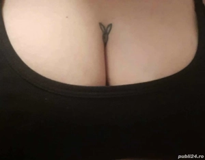 Fac deplasari si shou web