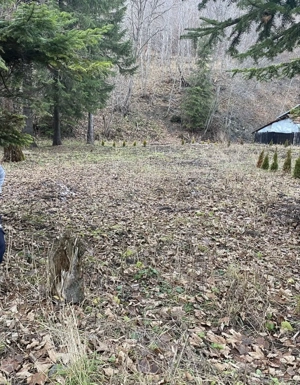 Proprietar vând teren intravilan în orașul Predeal , jud Brasov - imagine 4