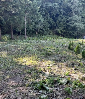 Proprietar vând teren intravilan în orașul Predeal , jud Brasov - imagine 6