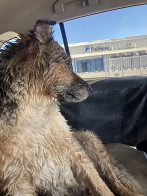 Renault Koleos 4x4 2013 - imagine 10