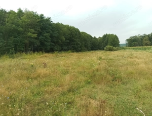 Teren de vânzare - imagine 4