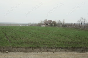 Particular, 10.200 mp. teren situat in Moara Vlasiei cu acces din DJ - imagine 4