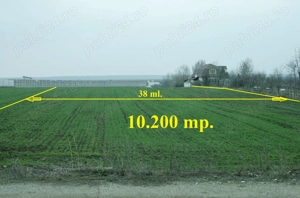 Particular, 10.200 mp. teren situat in Moara Vlasiei cu acces din DJ - imagine 3