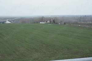 Particular, 10.200 mp. teren situat in Moara Vlasiei cu acces din DJ - imagine 5