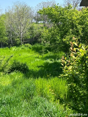 Casă+teren de vânzare Oreavul - imagine 8