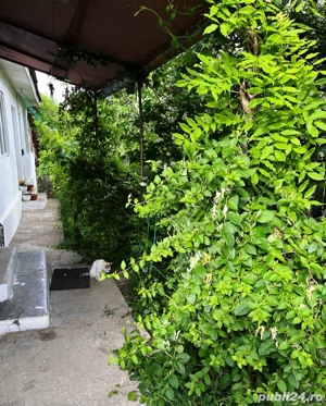 Casă+teren de vânzare Oreavul - imagine 7