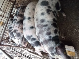 Căutăm o locatie nouă 