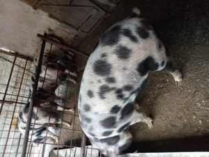 Căutăm o locatie nouă  - imagine 3 Căutăm o locatie nouă  - imagine 3