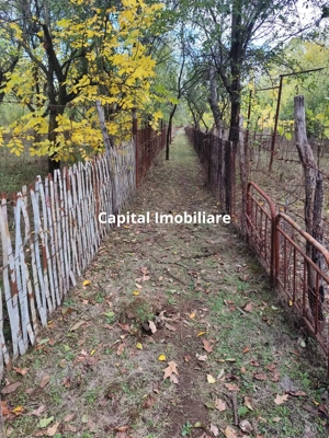 Casa Baicoi 120mp. Valea Stelii - imagine 11