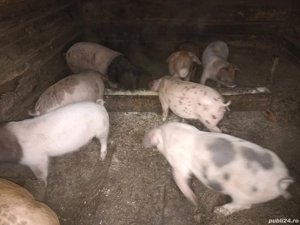 de vânzare  - imagine 2