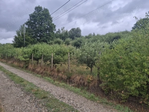 Vând teren extravilan Bistrița  - imagine 2