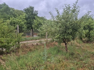 Vând teren extravilan Bistrița  - imagine 3