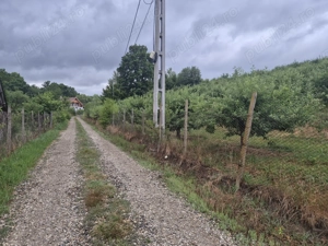 Vând teren extravilan Bistrița