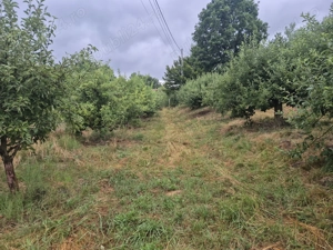 Vând teren extravilan Bistrița  - imagine 5