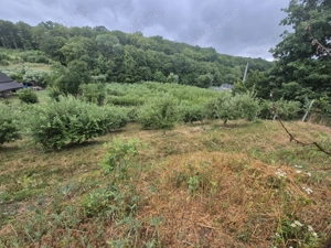 Vând teren extravilan Bistrița  - imagine 4